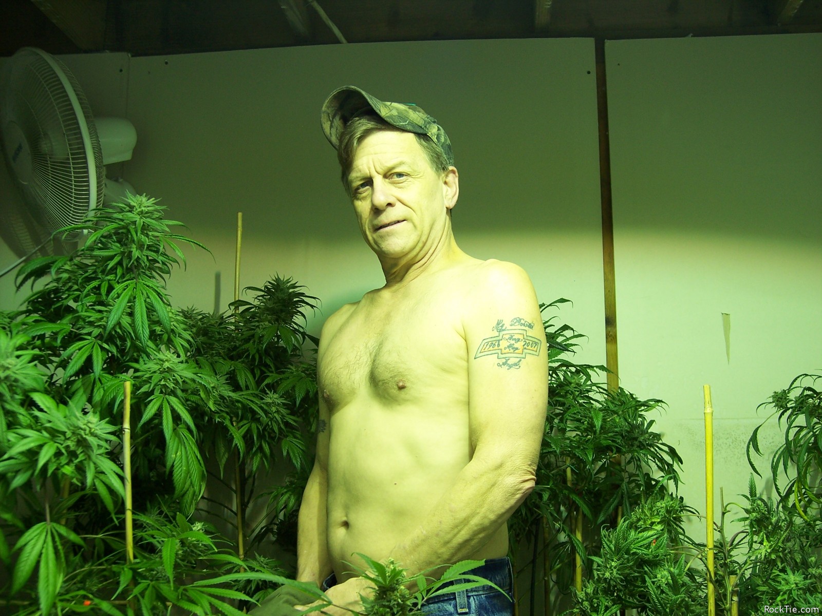 Swingers Hotwife Cuckold Tacoma-Olympia - littlewrench18