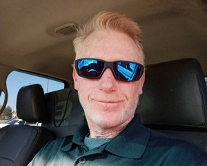 User member profile in ,