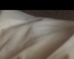  - Cumgetme Photo