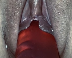  - Fill-Kat Photo