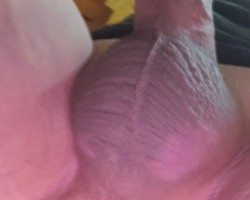 Swinger Hotwife Cuckold User