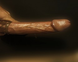 Swinger Hotwife Cuckold Daytona Beach - Woodylongwood9inMW