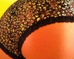  - Dhl3 Photo