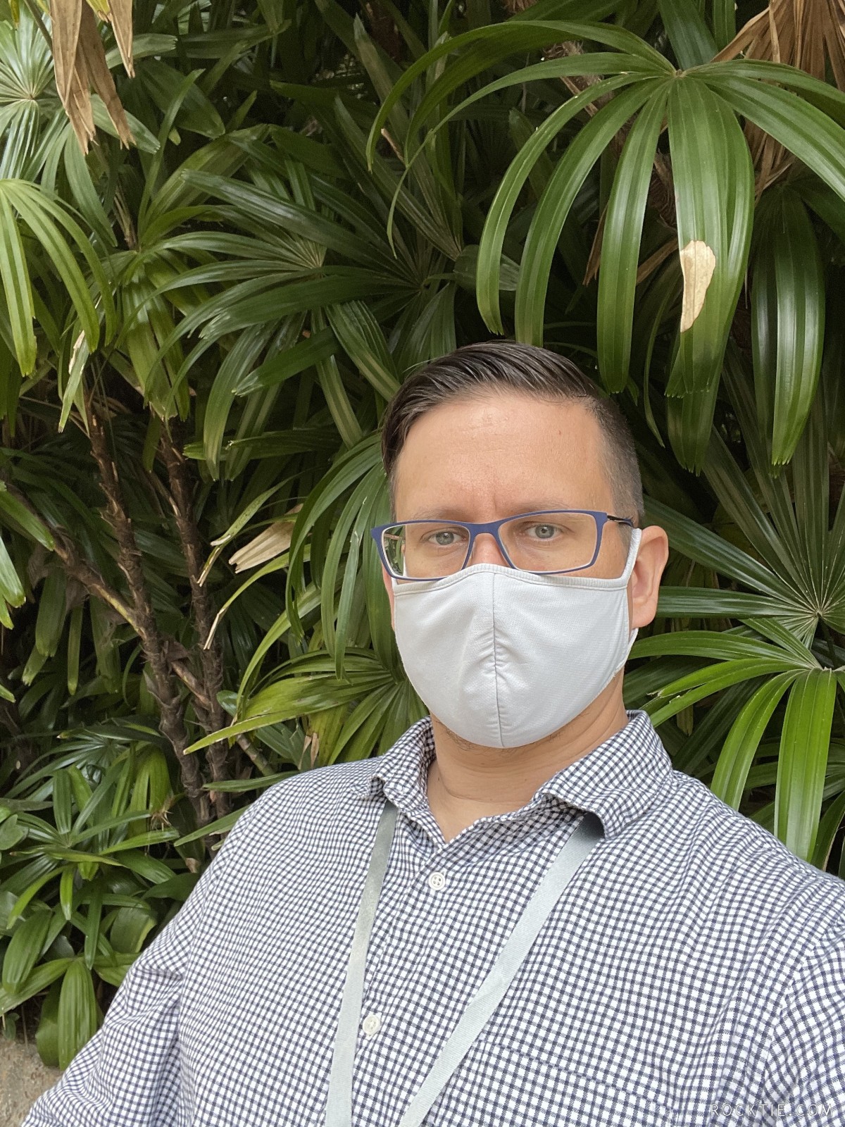 Swingers Hotwife Cuckold Tampa-Lakeland - Catoncouple