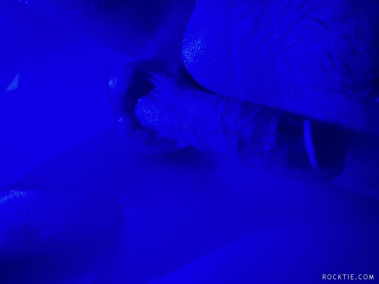 Swingers Hotwife Cuckold Louisville - Ky420guy