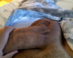 Swinger Hotwife Cuckold Los Angeles - Theitalian303