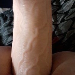 Swinger Hotwife Cuckold Tampa-Lakeland, Florida