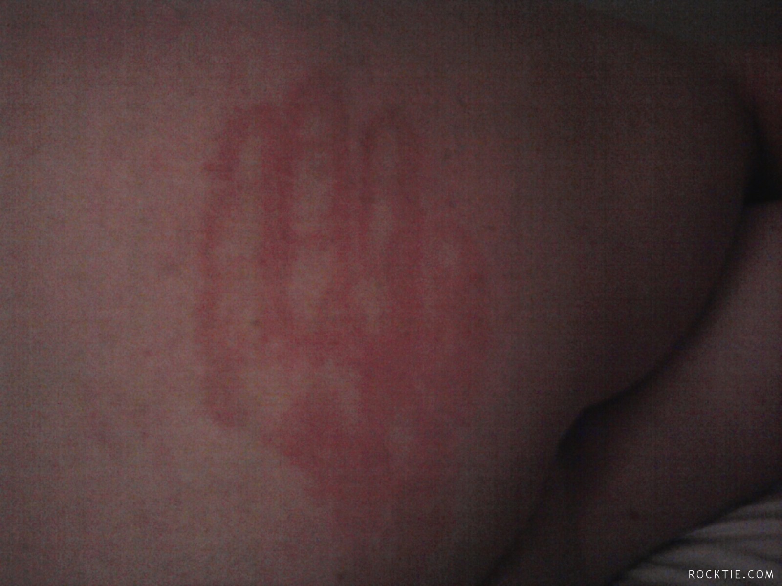 Swingers Hotwife Cuckold Jacksonville - DarkKeltVixenKik