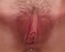 Wife's Pussy