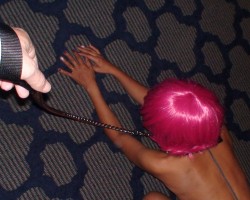 Swinger Hotwife Cuckold Los Angeles - gregsan