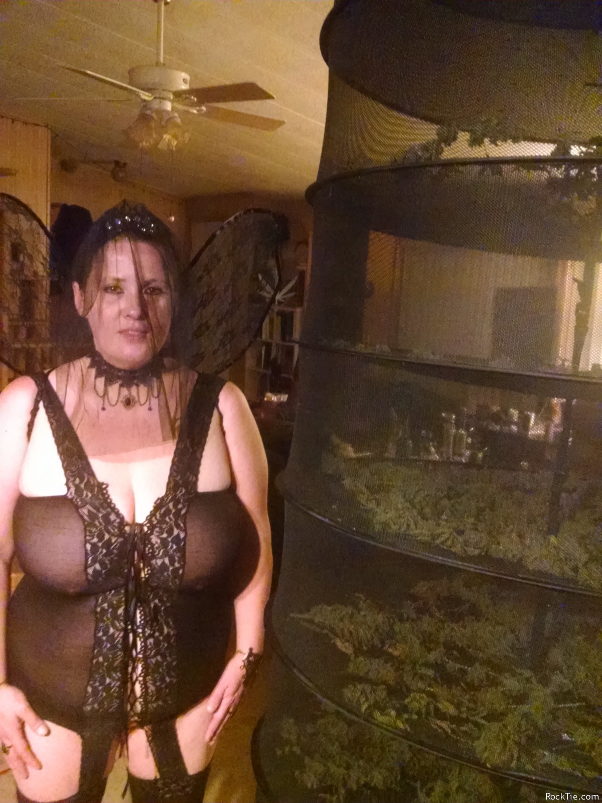 Swingers Hotwife Cuckold Seattle - chrisnmush1723