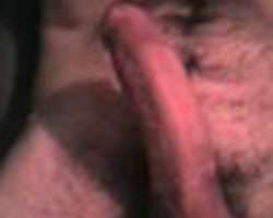  - greatongue Photo