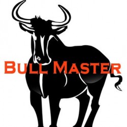 Bull Master