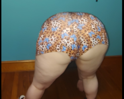 Swinger Hotwife Cuckold Jacksonville - Jeffer