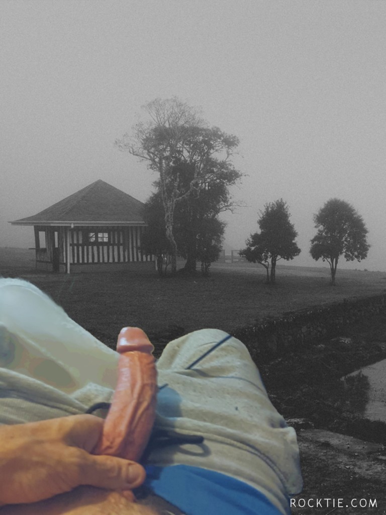 Swingers Hotwife Cuckold Daytona Beach - Woodylongwood9inMW