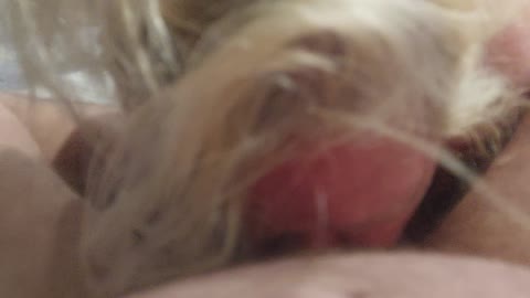 Weekend blowjob