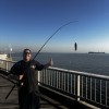 Los Angeles swinger hotwife & cuckold profile – Mike.99 on Rocktie