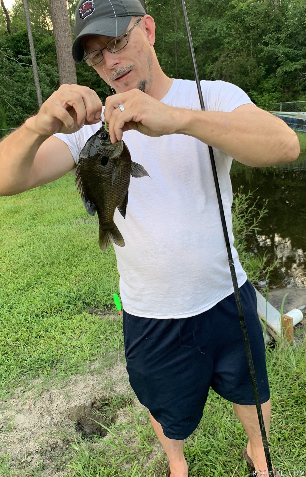 Swingers Hotwife Cuckold Springfield - Bushycrawdad