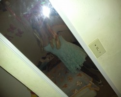  - Nickey Photo