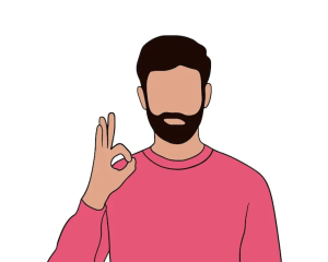 User member profile in ,