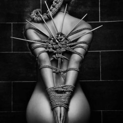 Hampton swinger hotwife & cuckold profile – DavidNKitty on Rocktie