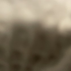 IllinoisM4U89: Swingers Hotwife Cuckold