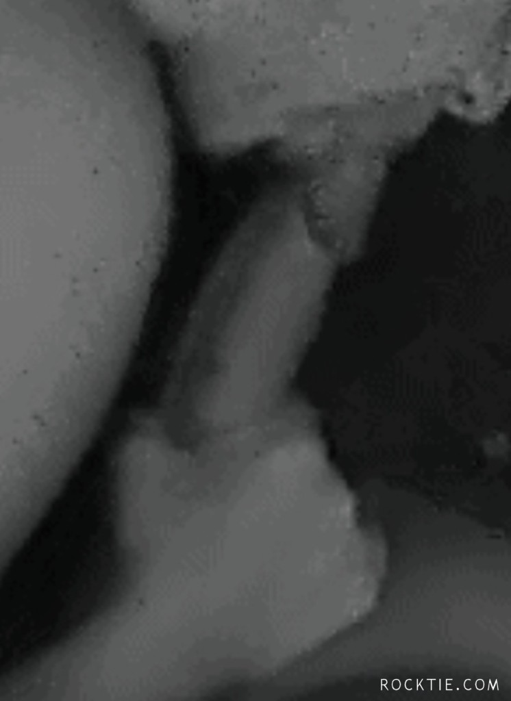 Swingers Hotwife Cuckold Frederick - Sexyandhim