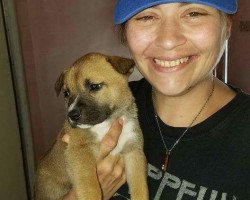 Swinger Hotwife Cuckold Los Angeles - Evildick