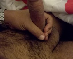 Swinger Hotwife Cuckold Chicago - casaljefes