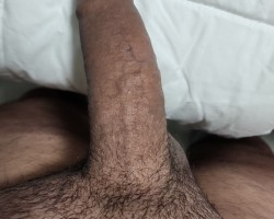 cubanboy71 member profile in Miami-Dade-Keys, Florida