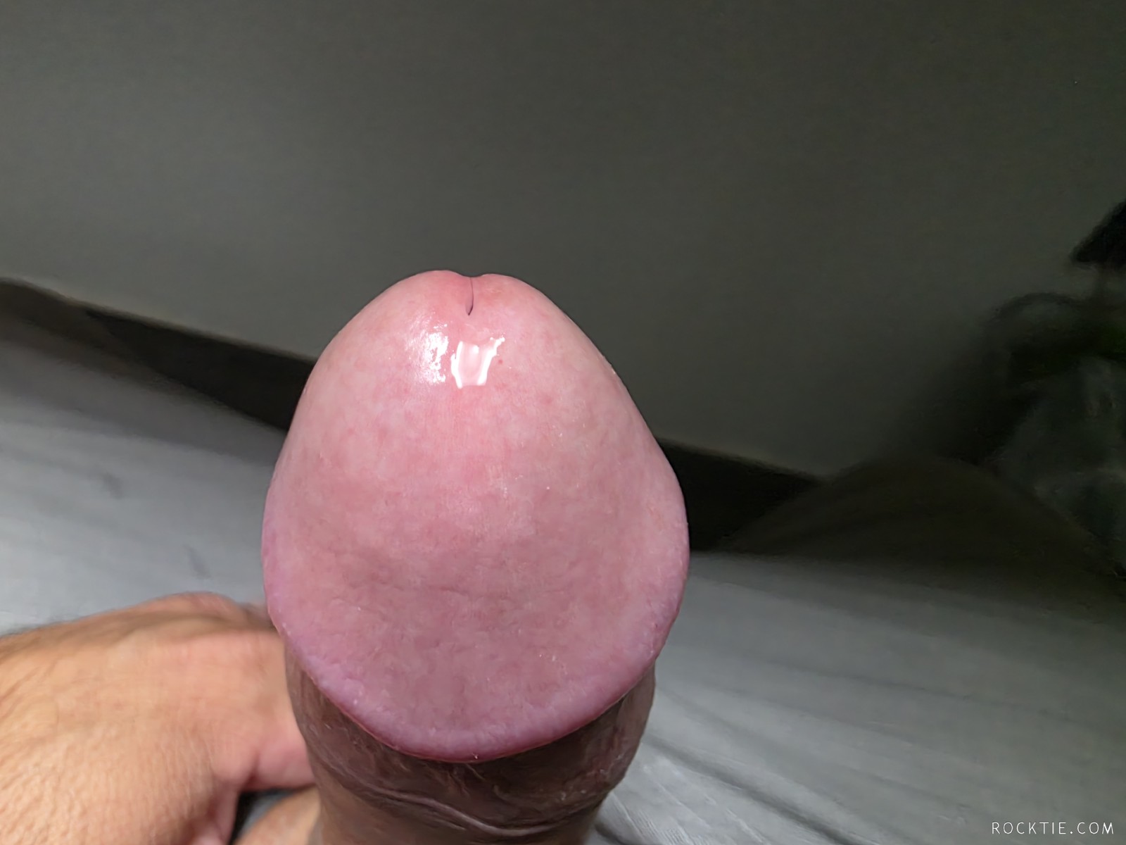 Swingers Hotwife Cuckold Fresno - Bigdaddy86