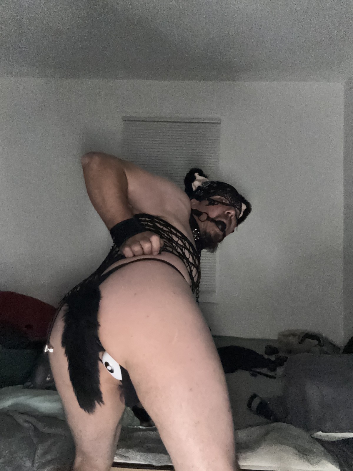 Swingers Hotwife Cuckold Jacksonville - Here2beused6978