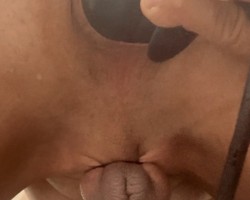Swinger Hotwife Cuckold User
