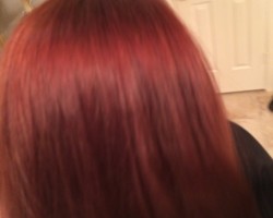  - CrimsonBlazer Photo