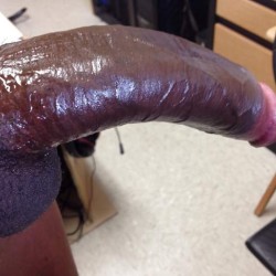 BullBBC4hotwife: Swingers Hotwife Cuckold