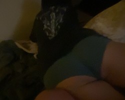 Swinger Hotwife Cuckold Houston - Mrliit