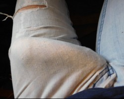 Swinger Hotwife Cuckold Los Angeles - Bob_Stone_3000