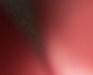 User member profile in ,