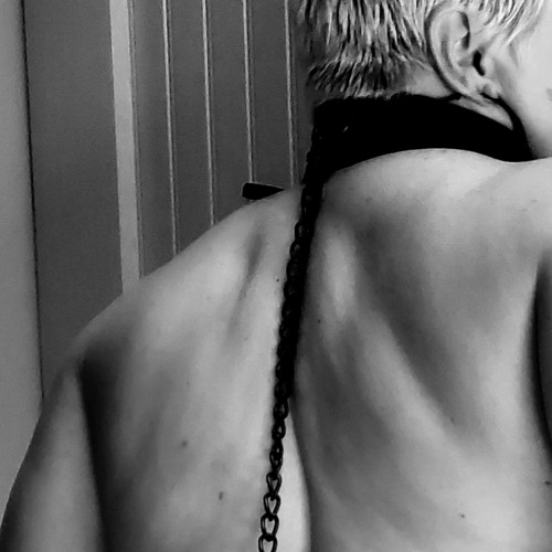 KingandQueenplus: Swingers Hotwife Cuckold