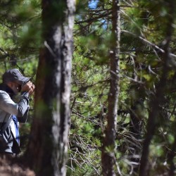 TheHedonistView: Swingers Hotwife Cuckold