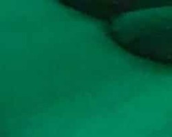 Swinger Hotwife Cuckold Tucson-South AZ - Scuba6