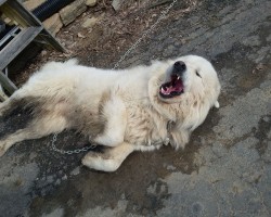 Swinger Hotwife Cuckold Louisville - loving_life