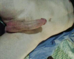 Swinger Hotwife Cuckold Covington - meandher41046