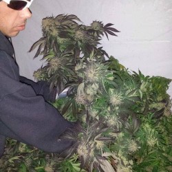 ebgrower: Swingers Hotwife Cuckold