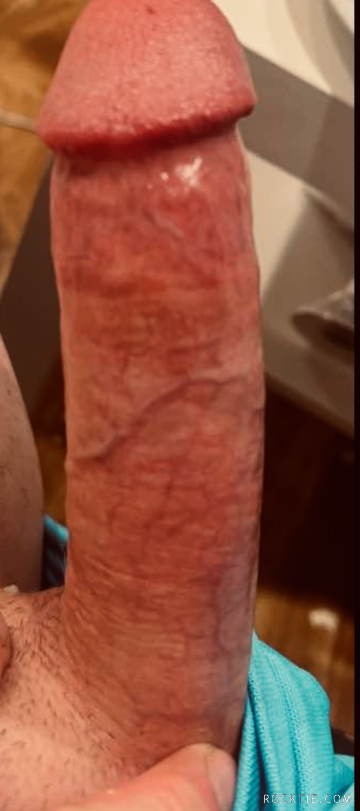 Swingers Hotwife Cuckold San Jose - hvfn2nite