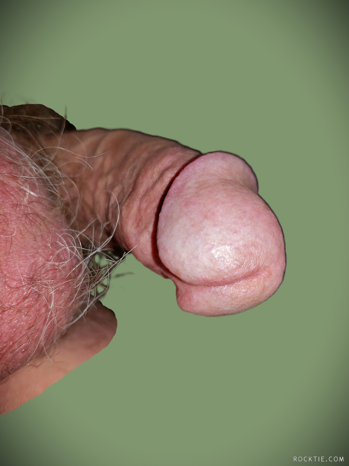 jjfun member profile in Treasure-Space, Florida