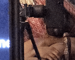 Swinger Hotwife Cuckold Jacksonville - DikinyaSlowly