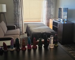 Swinger Hotwife Cuckold DFW - WELLNESSPRIORITY