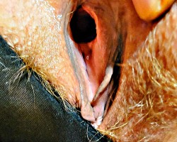 Swinger Hotwife Cuckold User