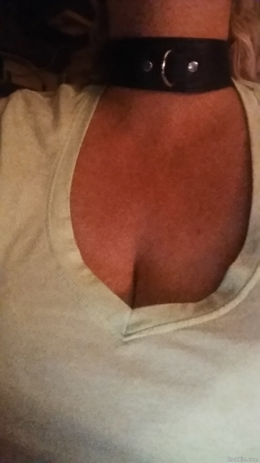 Swingers Hotwife Cuckold Gainesville-Ocala - Floridaflower